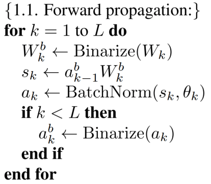BNN Forward Propagation